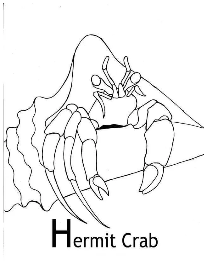 Hermit crab 8 coloring pages coloring cool