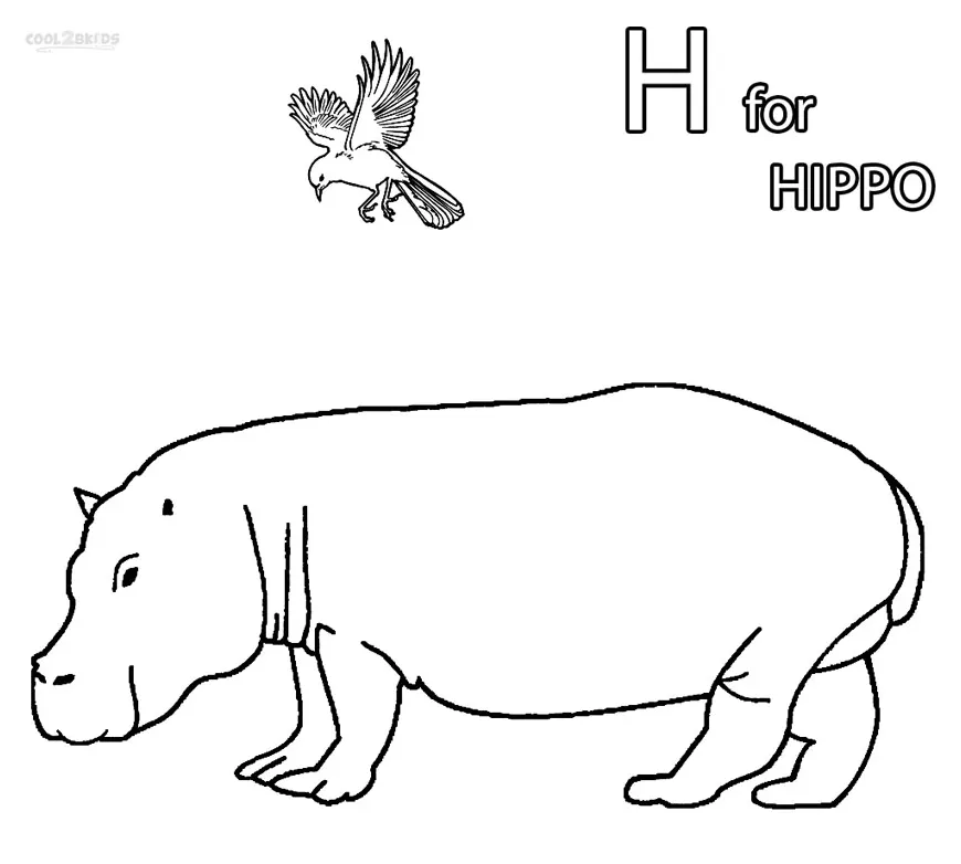 Hippo face coloring page coloring pages