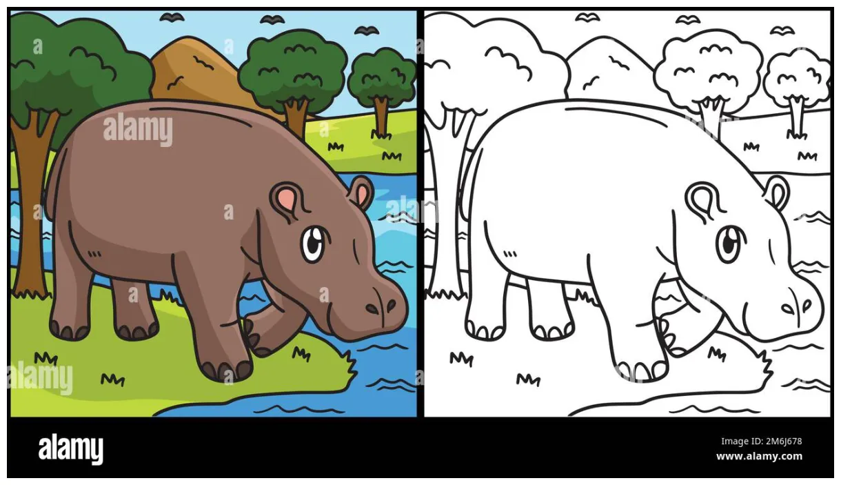 Hippo coloring page colored illustration stock vector & art alamy