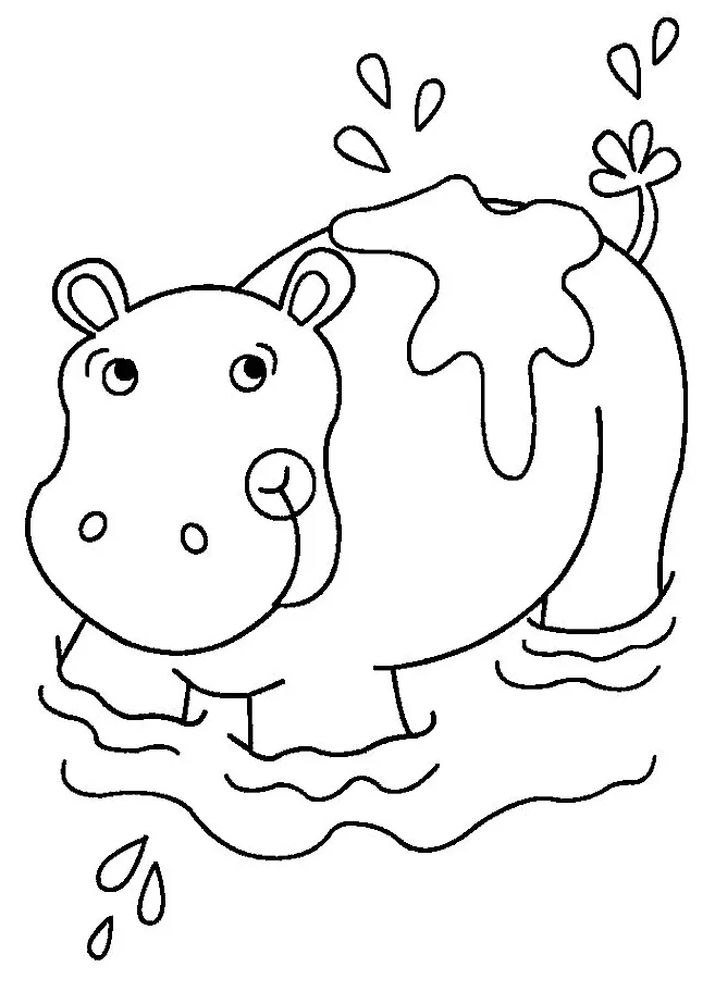 Hippo face coloring page coloring pages
