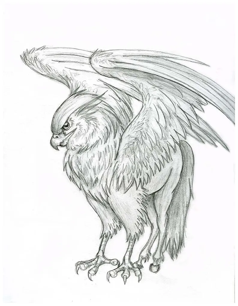 S at getcolorings free printable