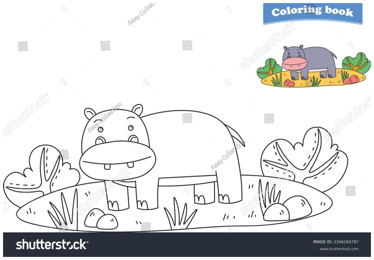 Hippopotamus Coloring Page Photos and Images | Shutterstock