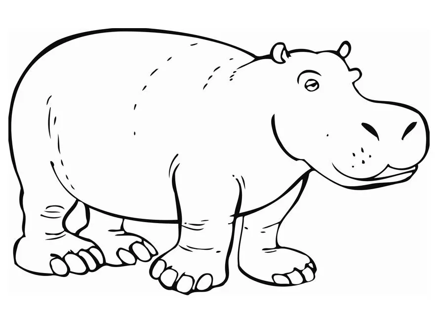 Coloring Page Hippopotamus - Free printables - Img 12842
