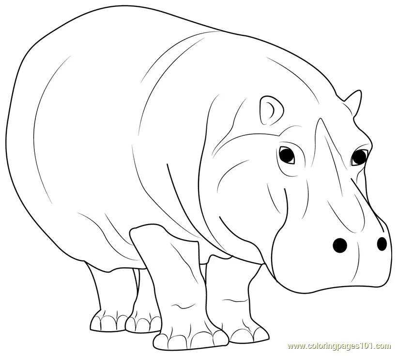 Hippopotamus Walking Coloring Page for Kids - Free Hippopotamus