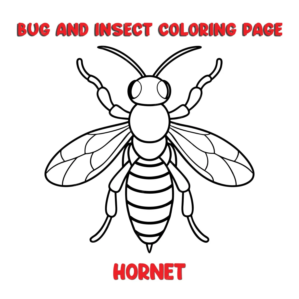 Premium Vector | HORNET coloring page for a children bugs coloring book