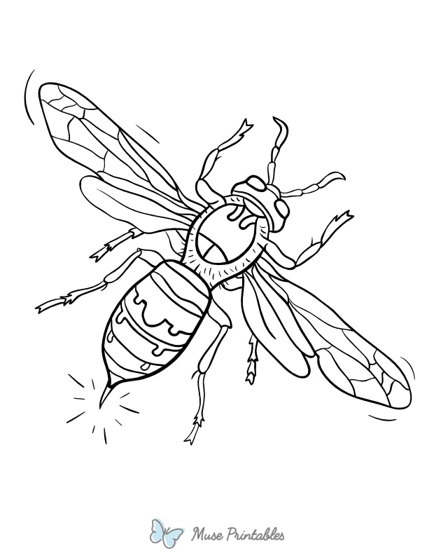 Printable Hornet Coloring Page