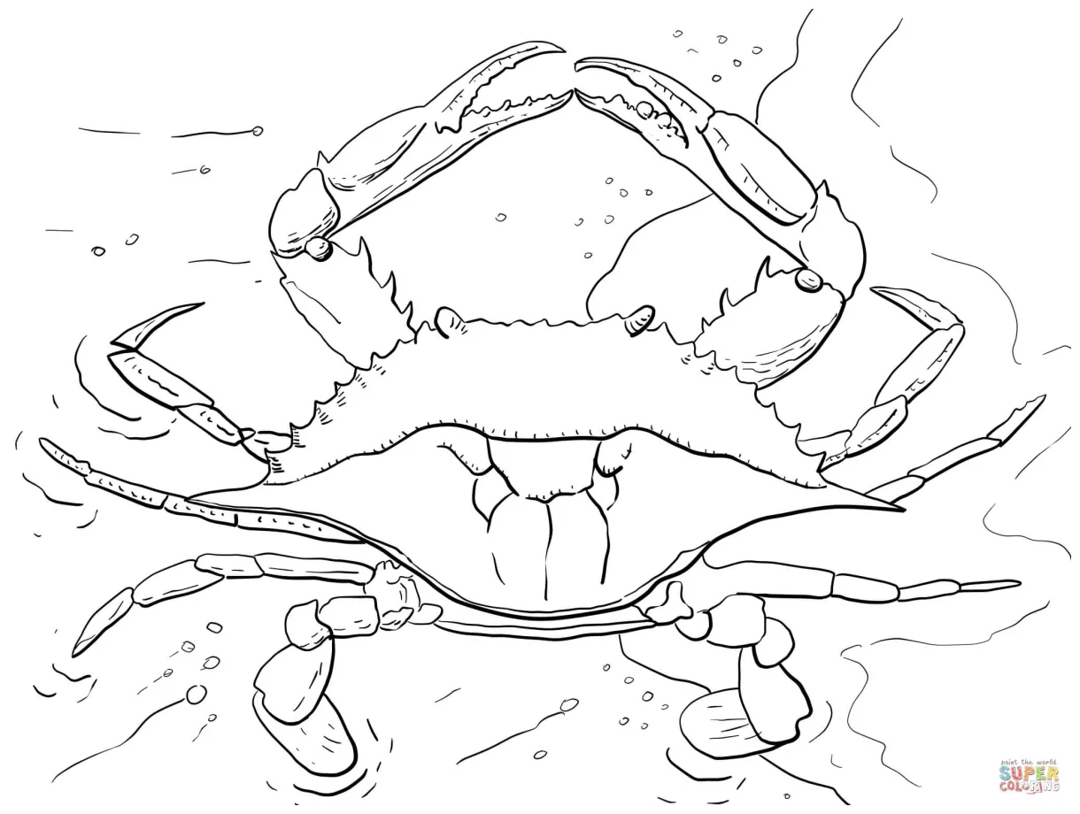 At getcolorings free printable colorings