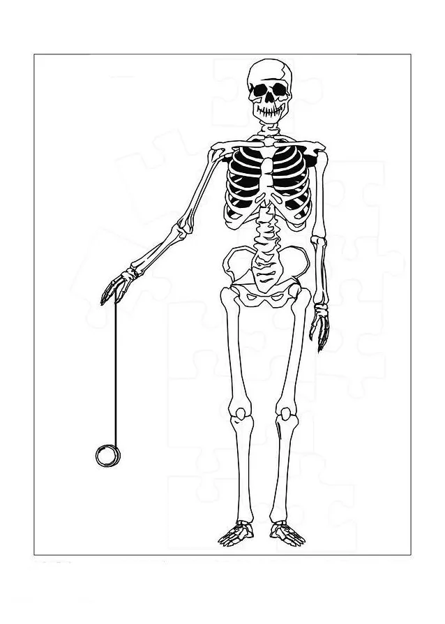 Kids-n-fun coloring page human body human body printable coloring page