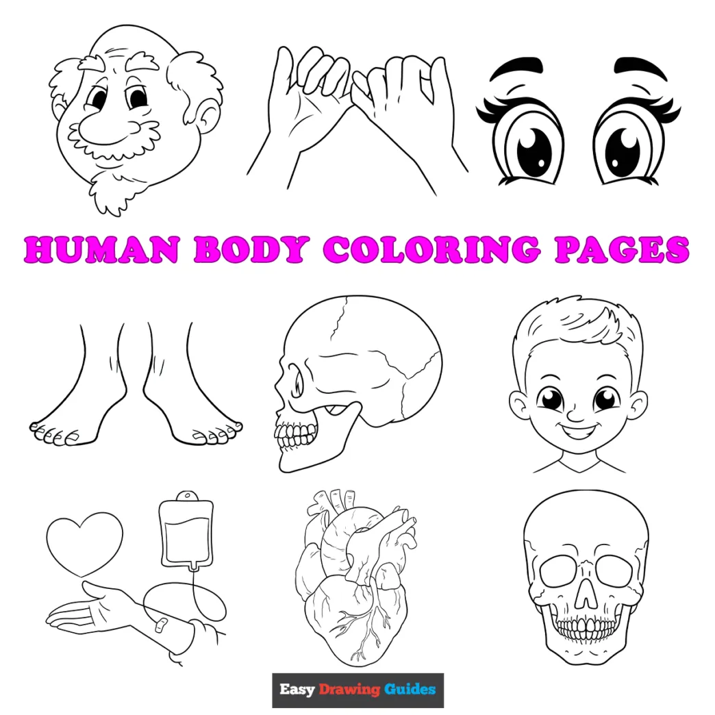 Coloring pages a fun way to learn about human body parts