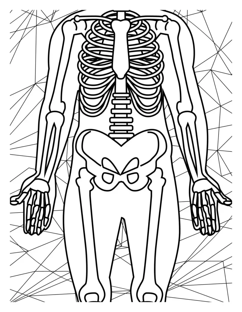 S fun and educational design for kids