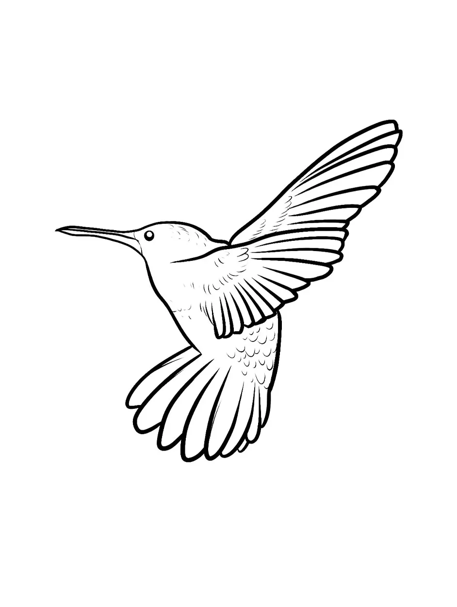 Hummingbird coloring page