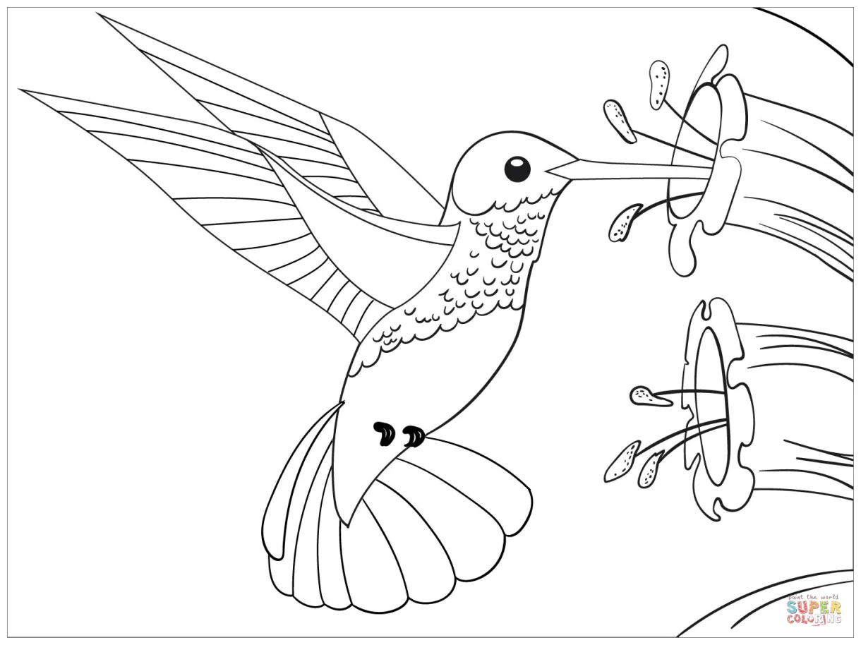Free printable coloring pages