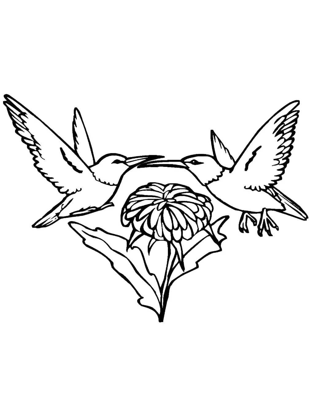 Hummingbird coloring page
