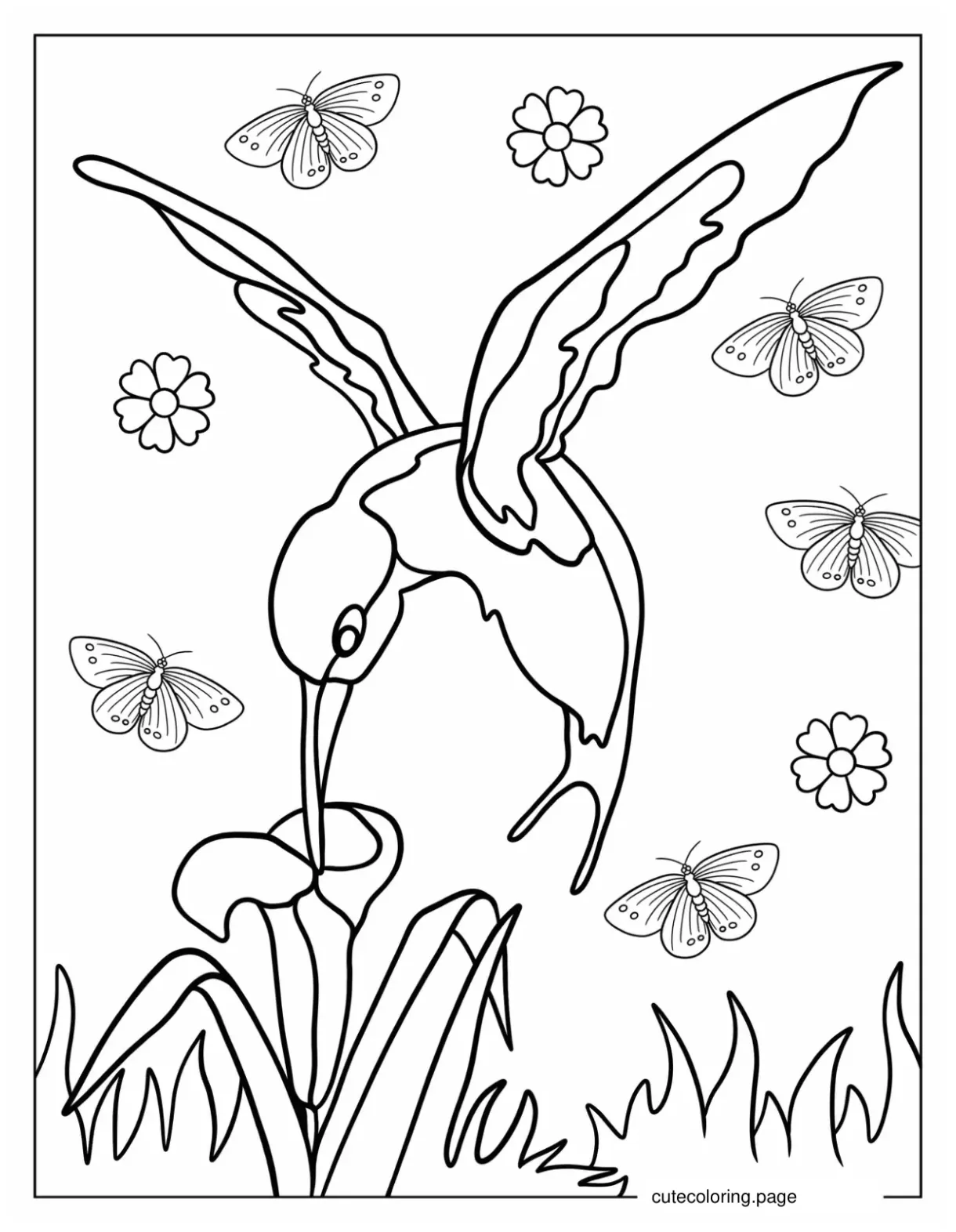 Hummingbird coloring pages 20+ free printable coloring pages cute