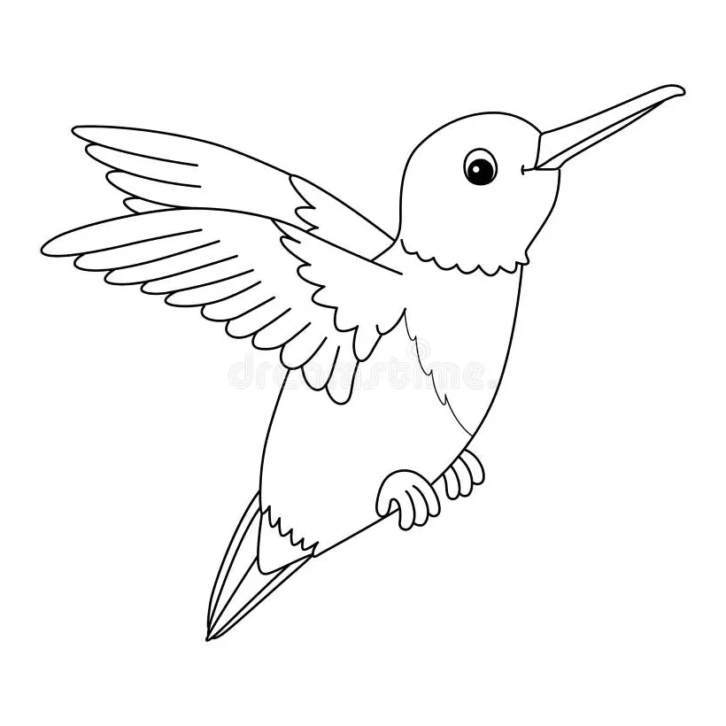Hummingbird animal coloring page for kids stock vector illustration