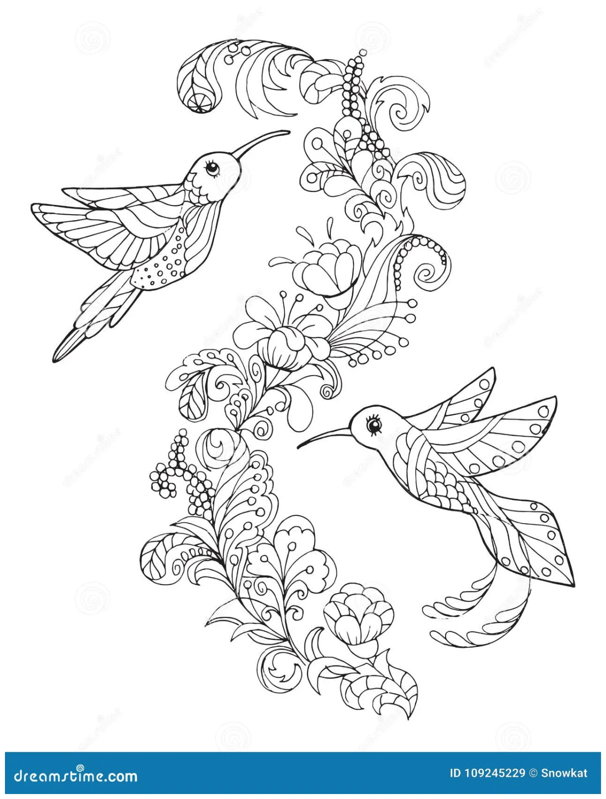Hummingbird coloring page royalty-free cartoon cartoondealer
