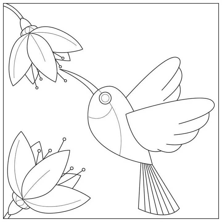 Hummingbird coloring page vector art, icons, and graphics for