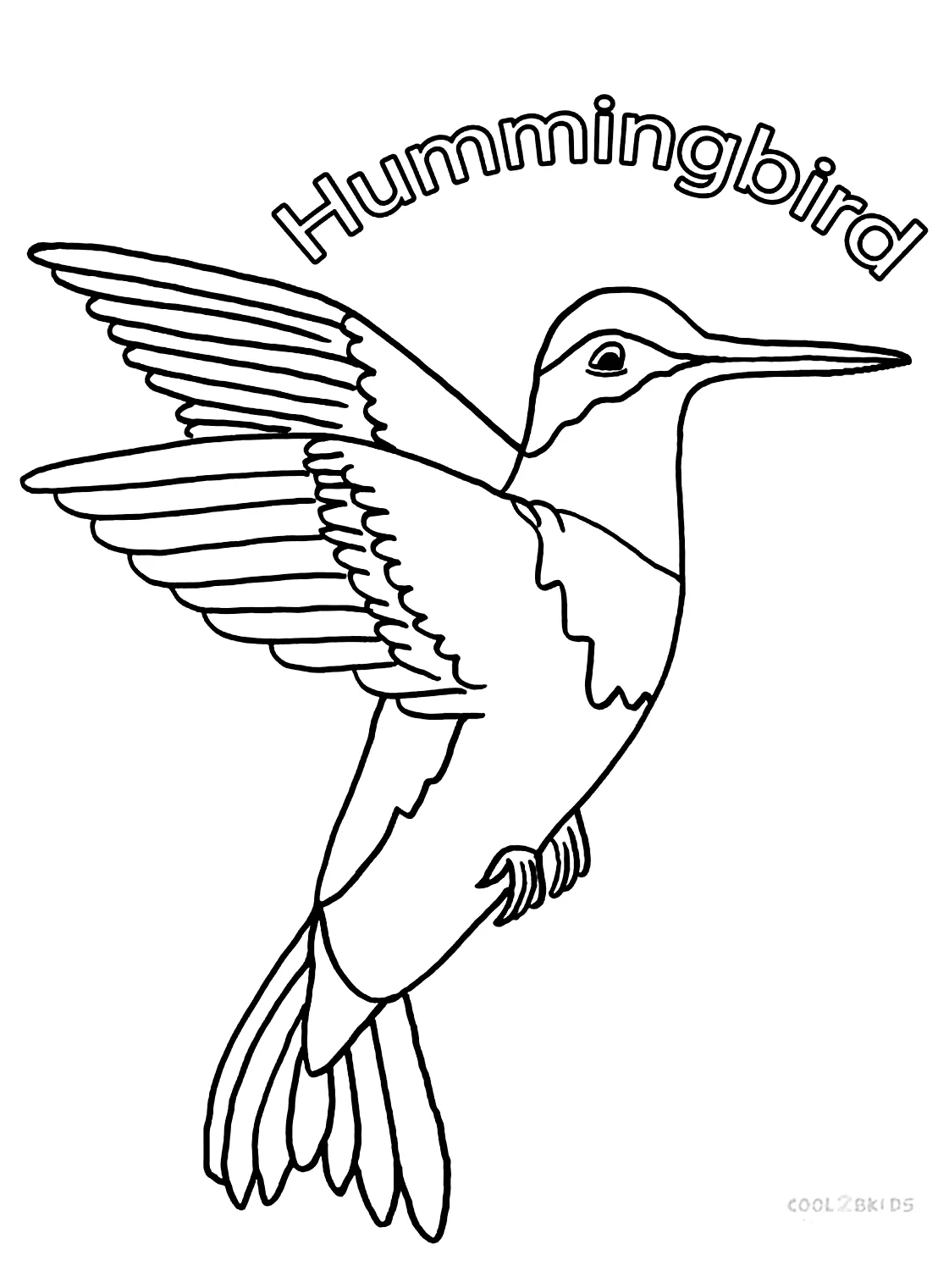 58 Hummingbird Coloring Pages - Free & Printable for Kids and Adults