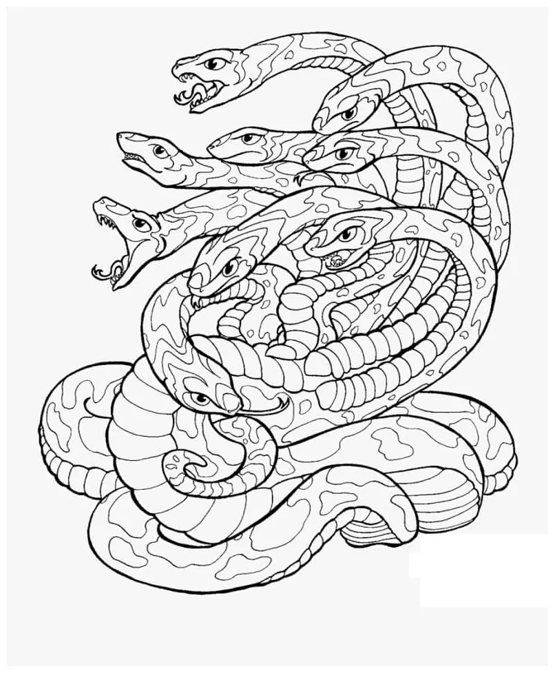 Hydra Coloring Page