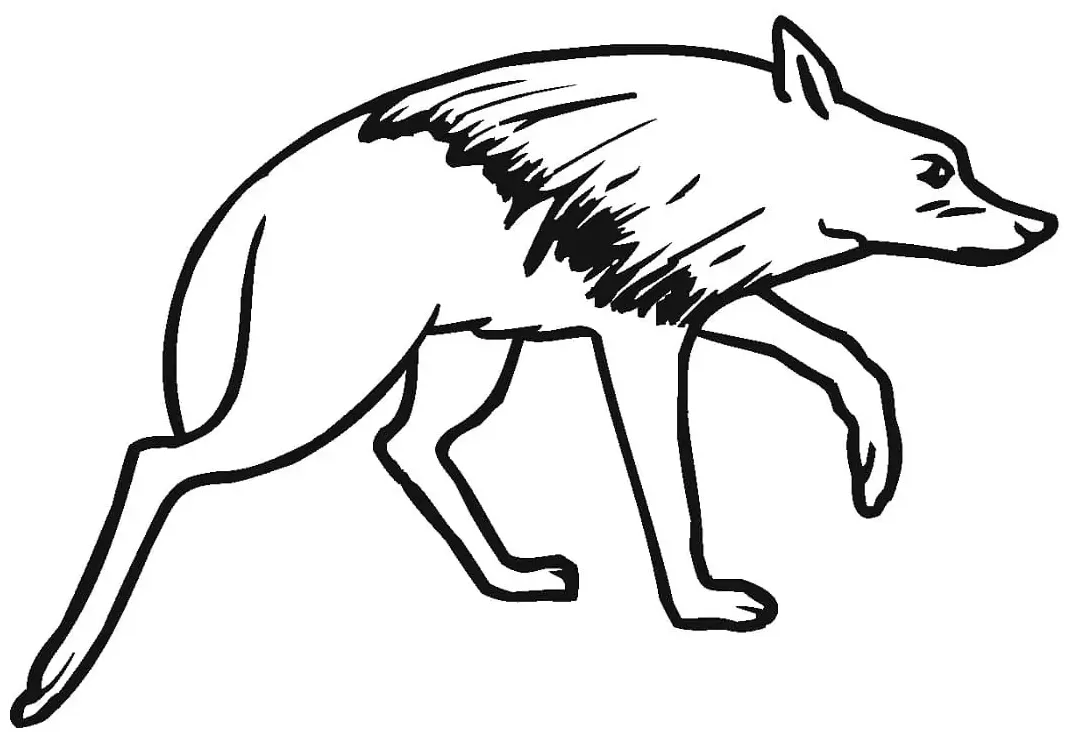 Hyena 2 Coloring Page - Free Printable Coloring Pages for Kids
