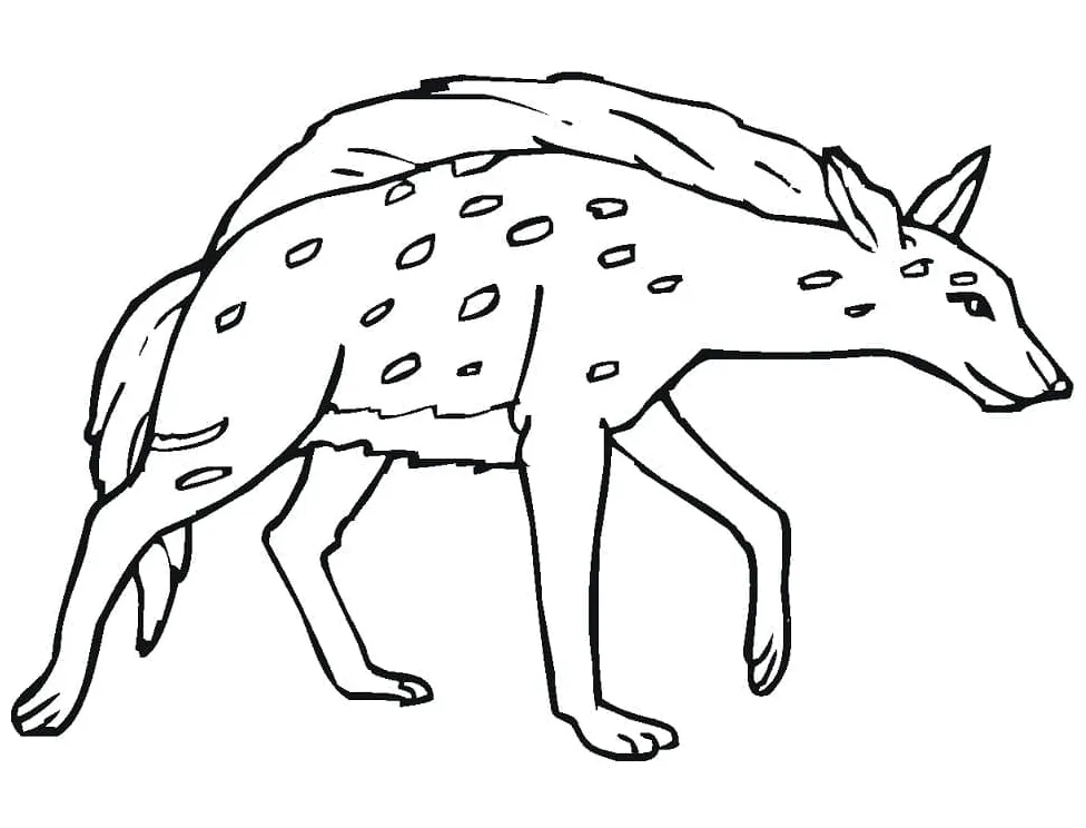 Free Hyena coloring page - Download, Print or Color Online for Free