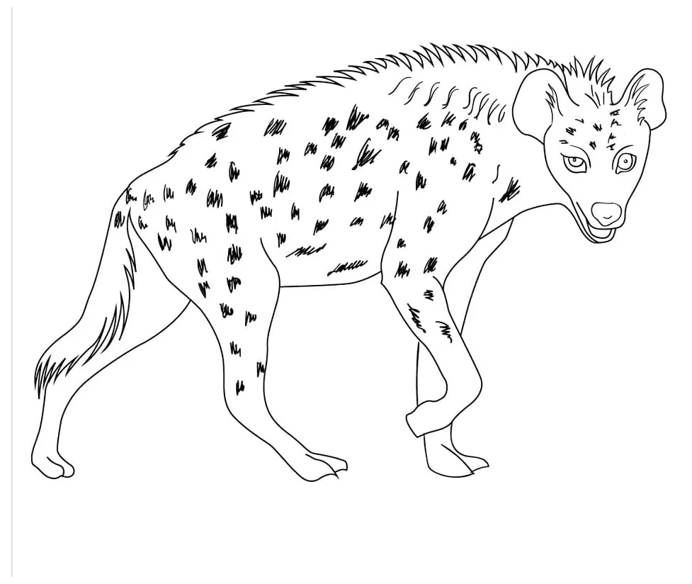 Hyena 2 Coloring Page - Free Printable Coloring Pages for Kids