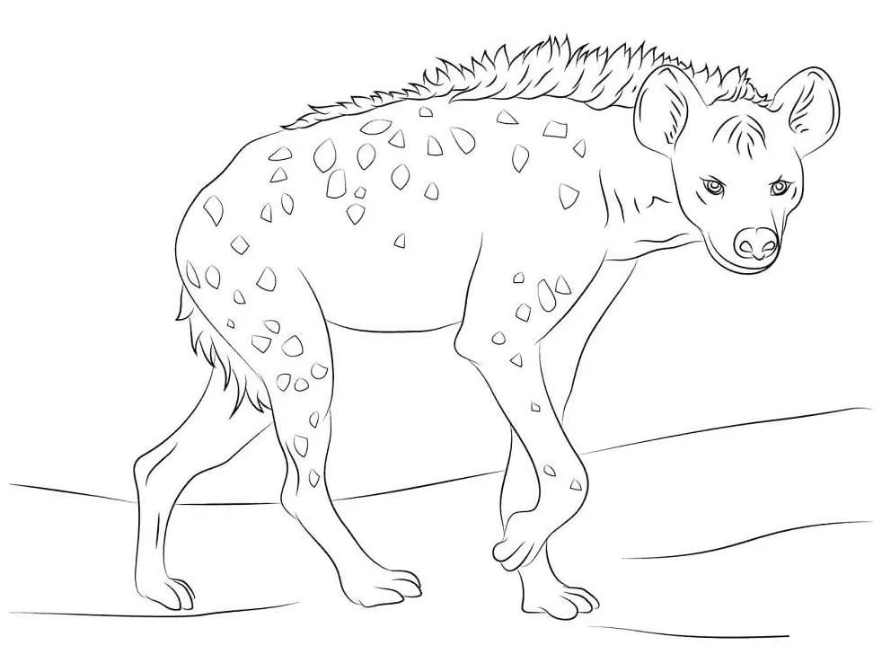 Hyena Attacks Coloring Page - Free Printable Coloring Pages for Kids