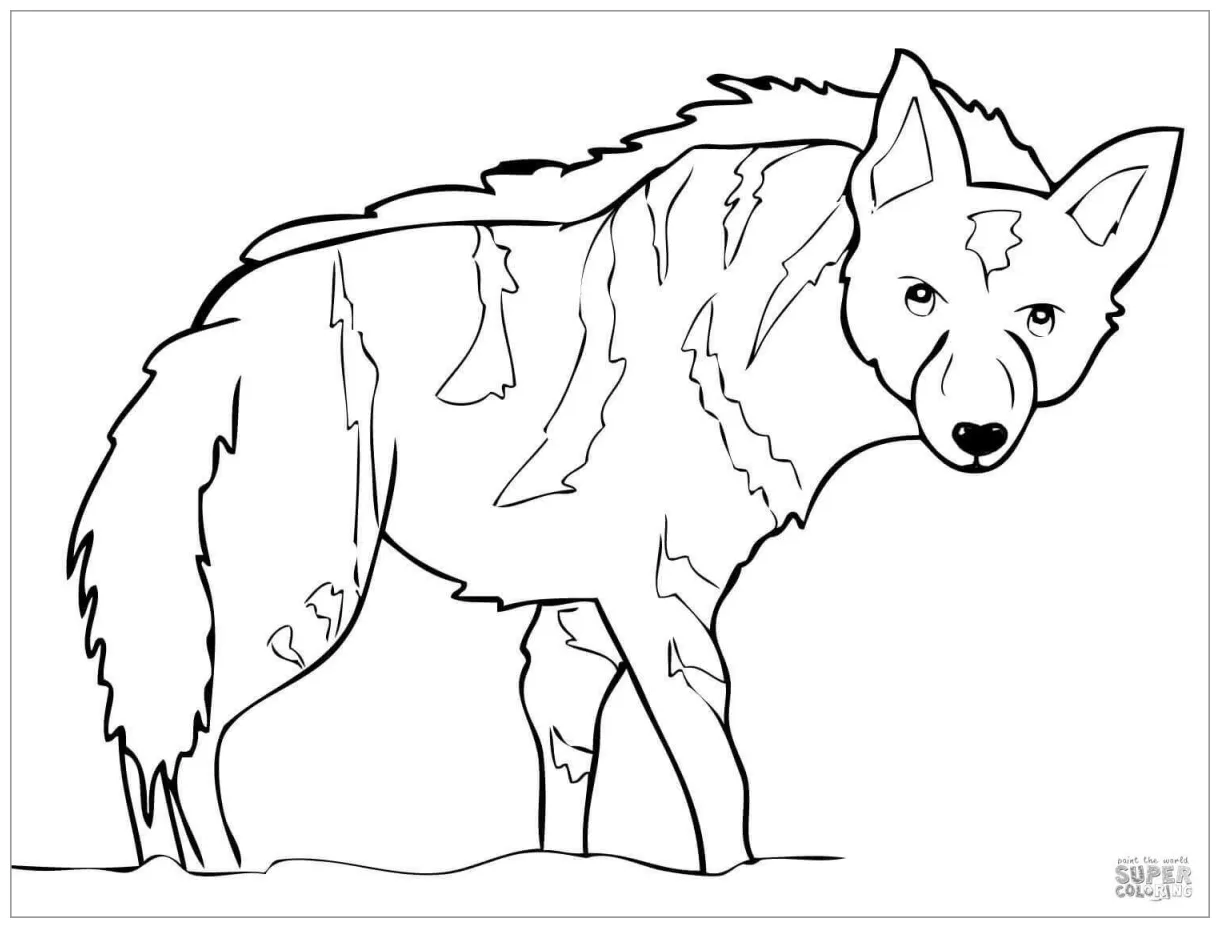 Hyena Coloring Pages - ColoringBay