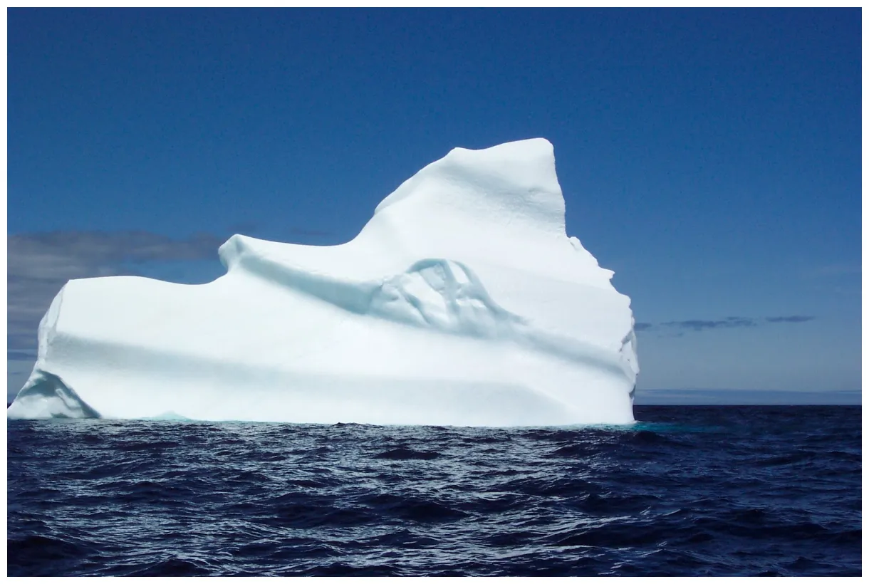 Purpura iceberg printable coloring page