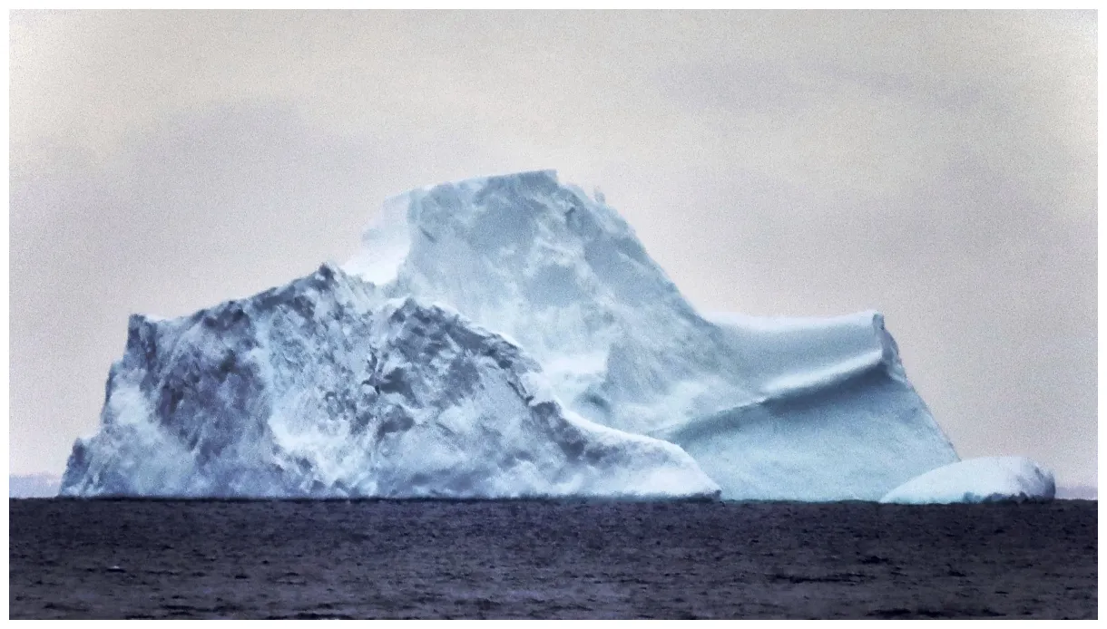 Salads, saints and 7 other iceberg oddities — product of newfoundland