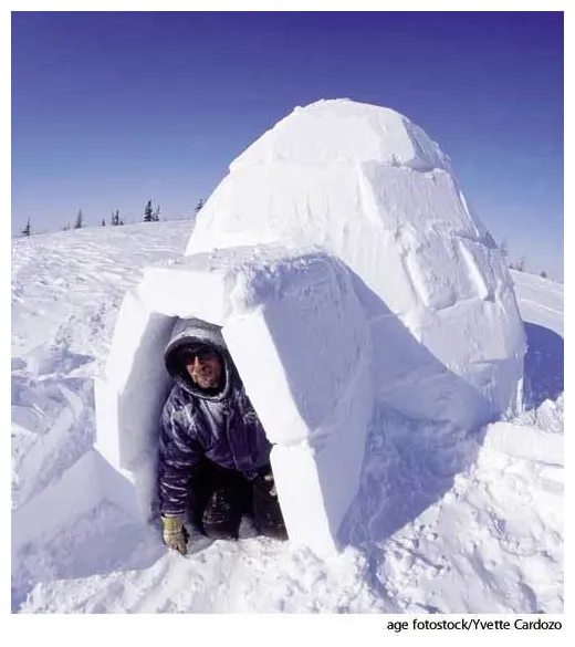 Igloo alchetron, the free social encyclopedia