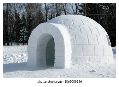 11,596 igloo s, s & vectors shutterstock