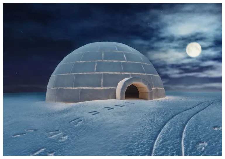Igloo alchetron, the free social encyclopedia