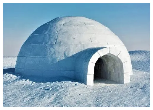 ইগলু igloo