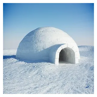 3d architecture igloo models browse & download formats turbosquid