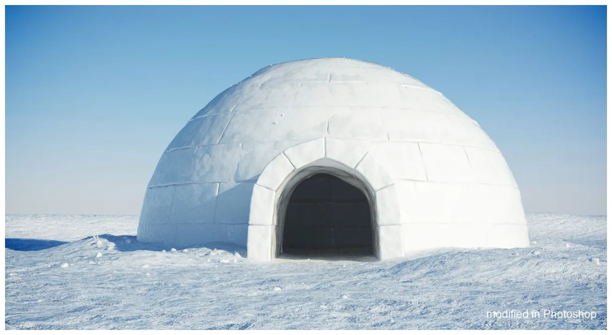 이글루 3d 모델 $39 .max free3d