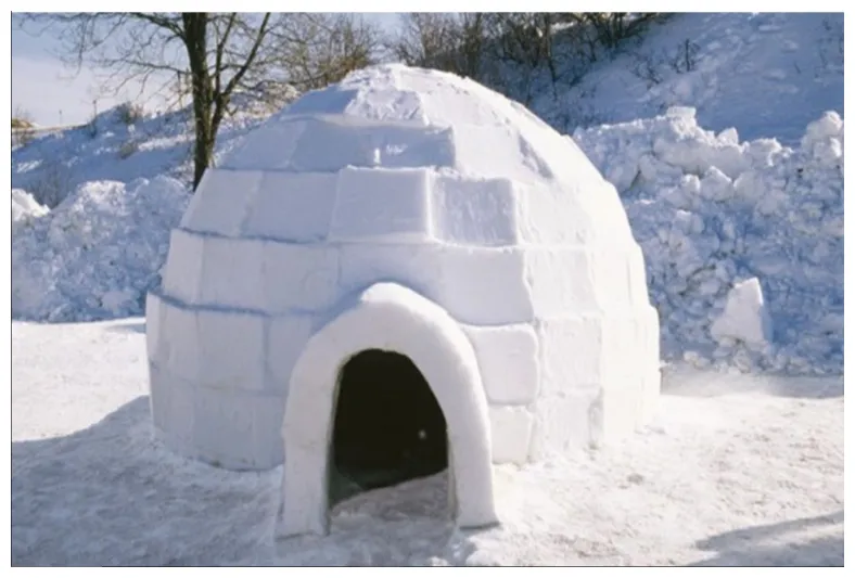 Igloo craft zenith preparatory learning centre printable coloring page