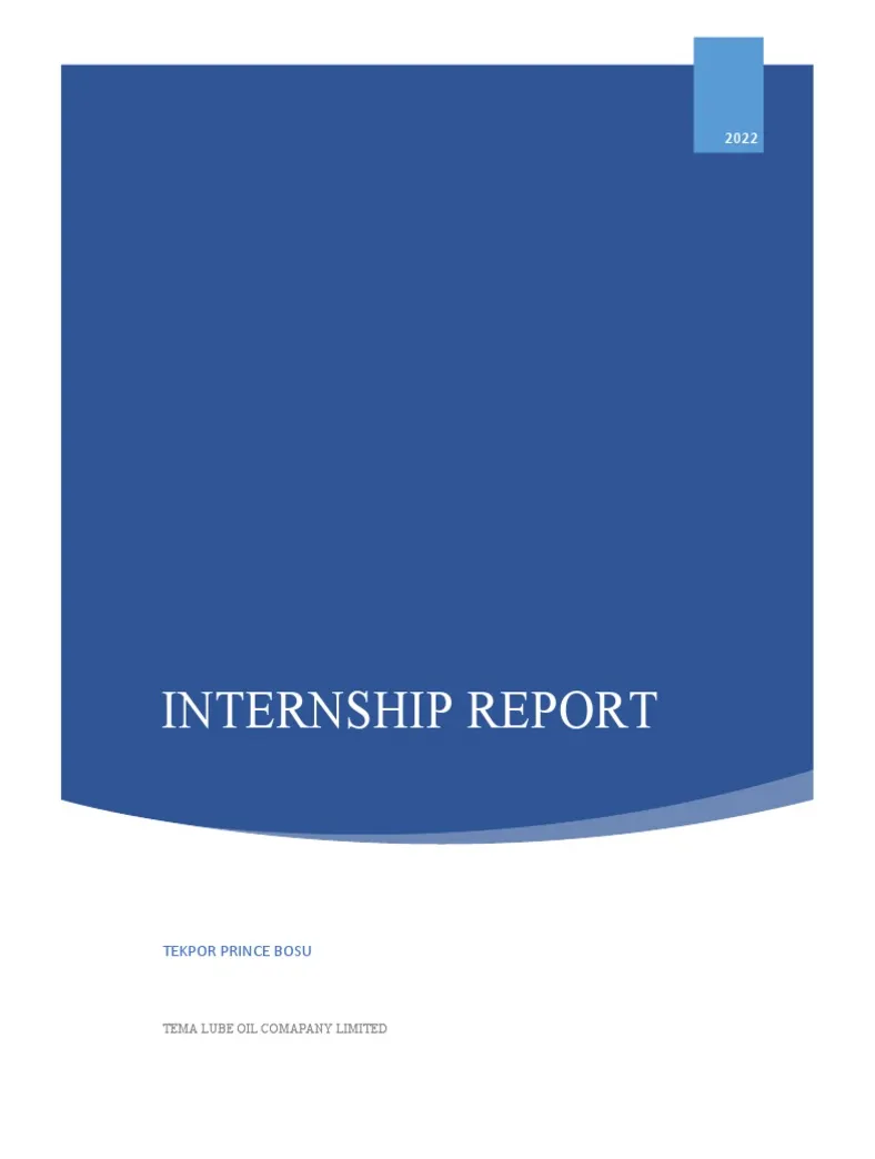 Internship report new format pdf logistics audit