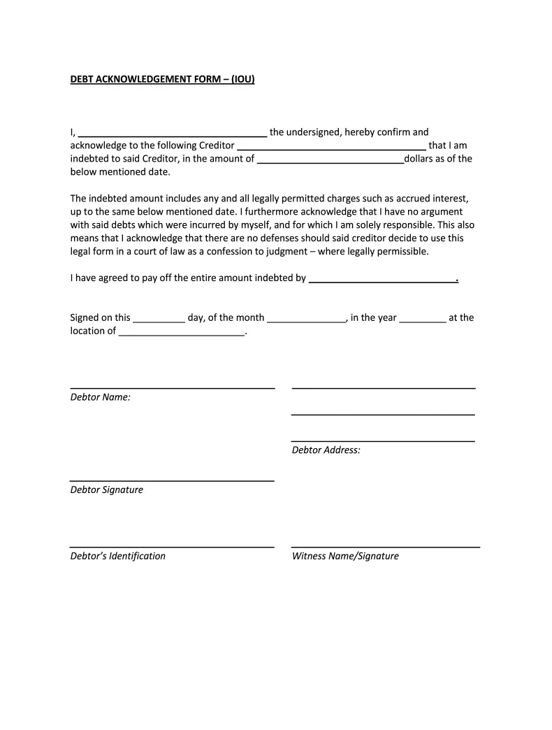 Debt Acknowledgement Form IOU - Fill Online, Printable, Fillable, Blank