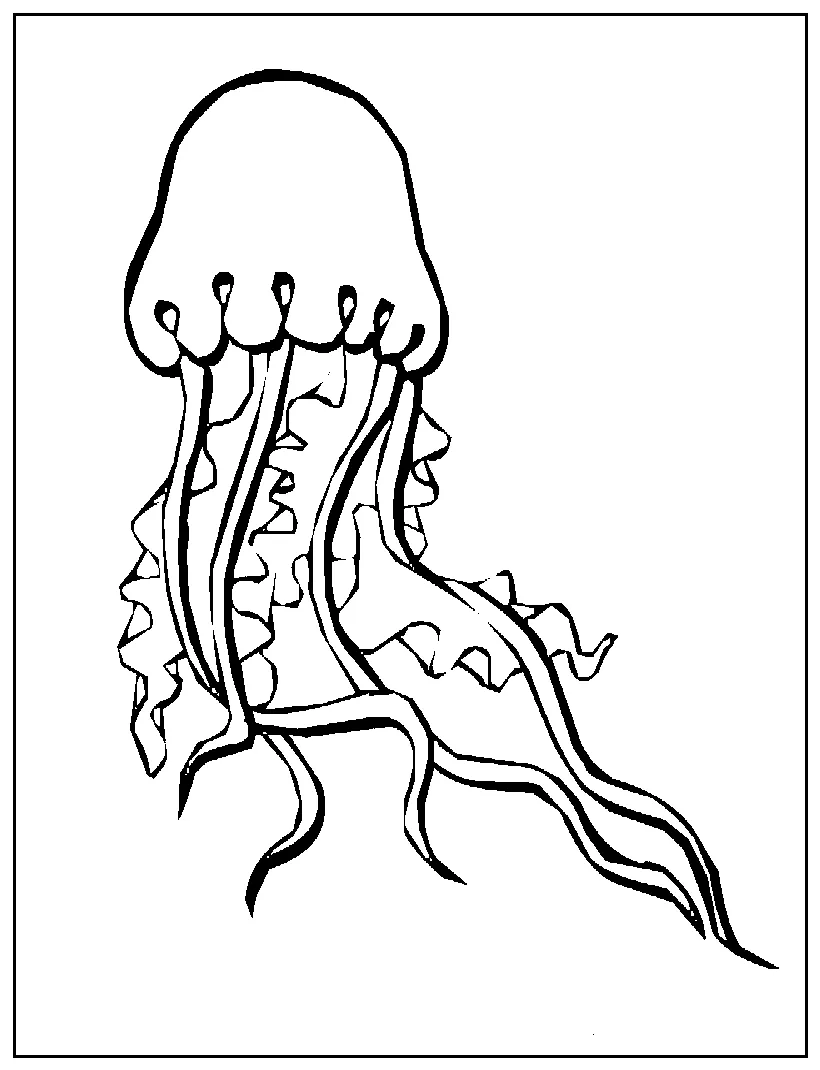 Clipart panda free clipart s