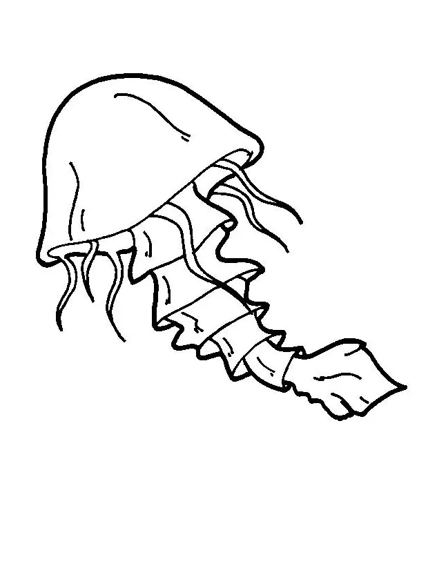 Clipart panda free clipart s