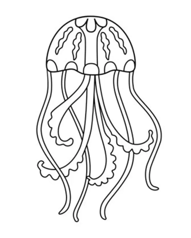 Jellyfish coloring pages coloringlib