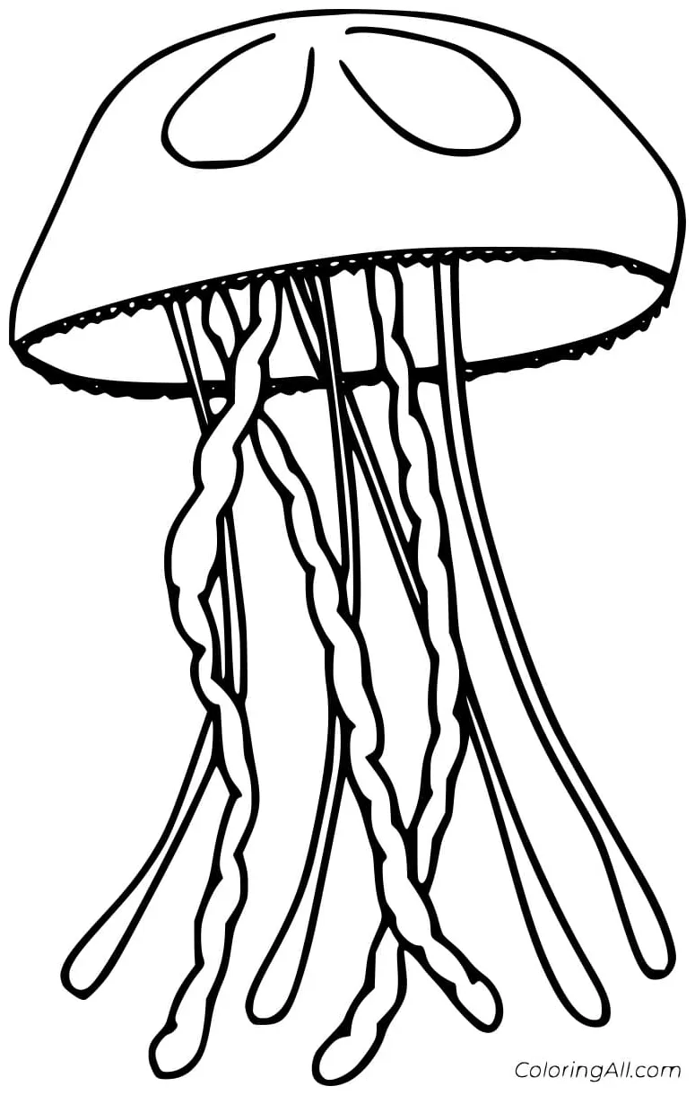 Jellyfish coloring pages coloring cool