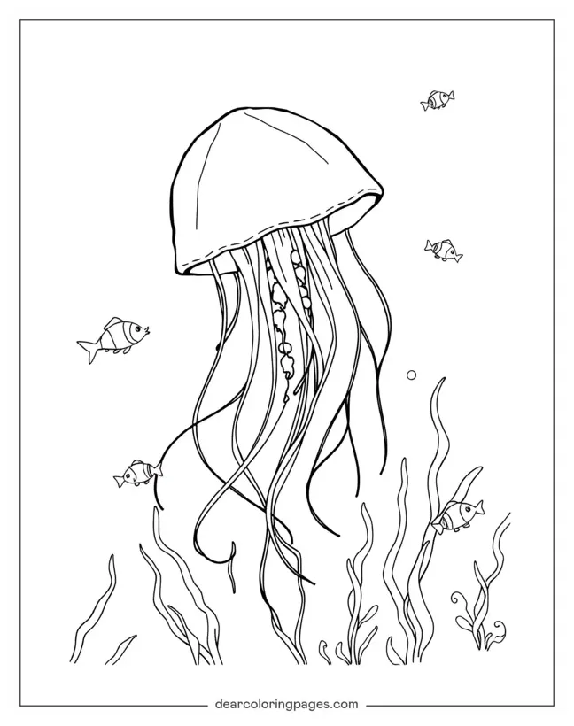 Jellyfish coloring pages 13 free printable coloring pages printable coloring page