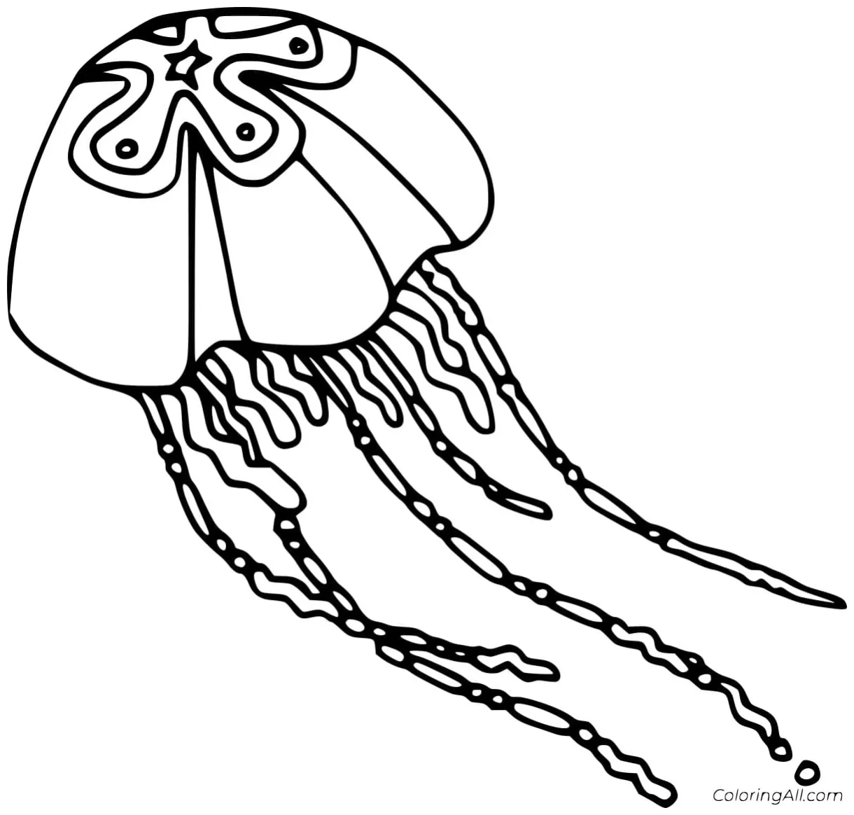 Jellyfish coloring pages coloring cool