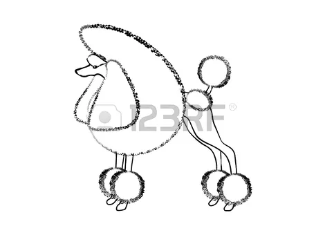 Poodle silhouette for poodle skirt at getdrawings