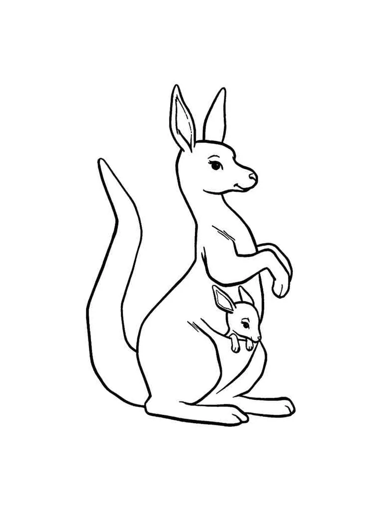 Baby Kangaroo in the Pouch coloring page