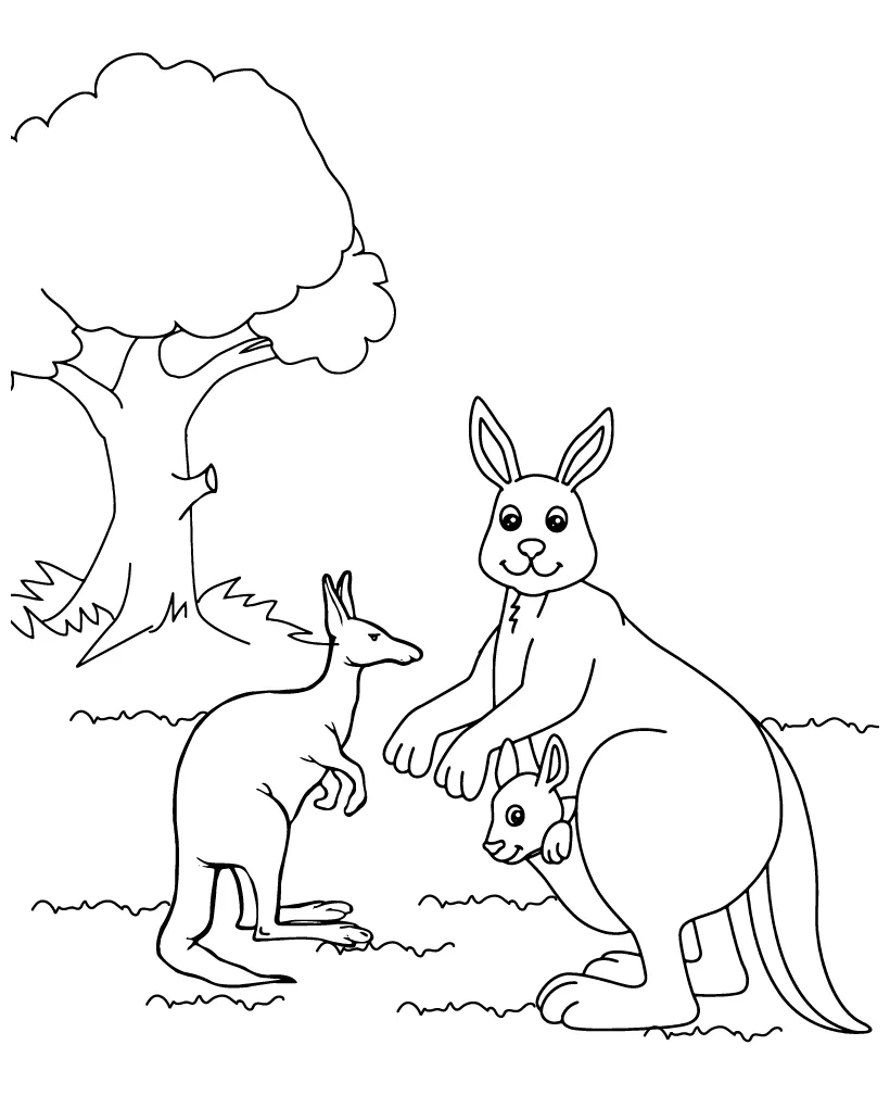 Kangaroo coloring page-01