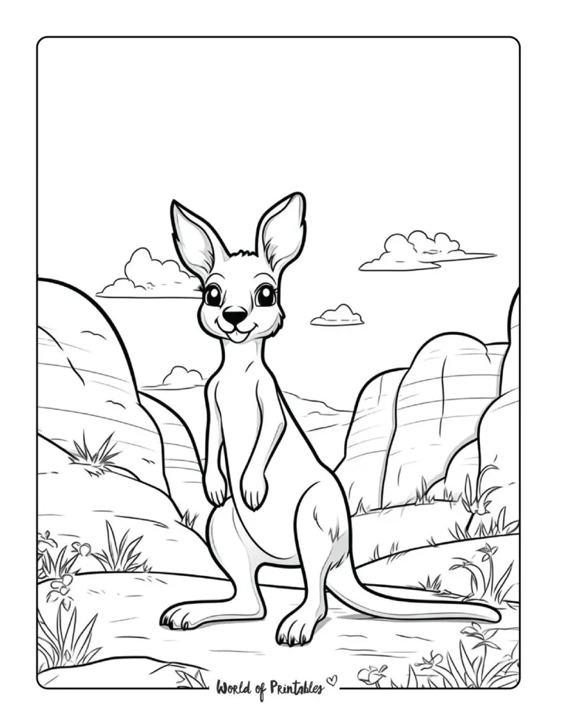 Kangaroo Coloring Pages - World of Printables