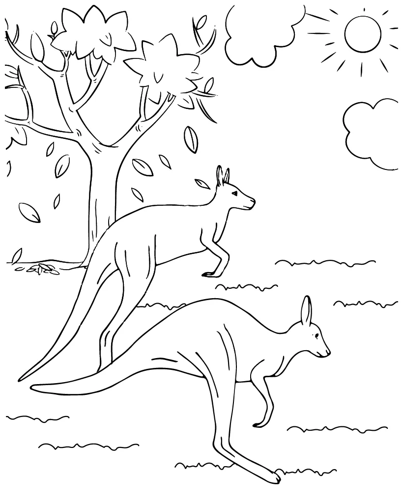 Kangaroo coloring page-02